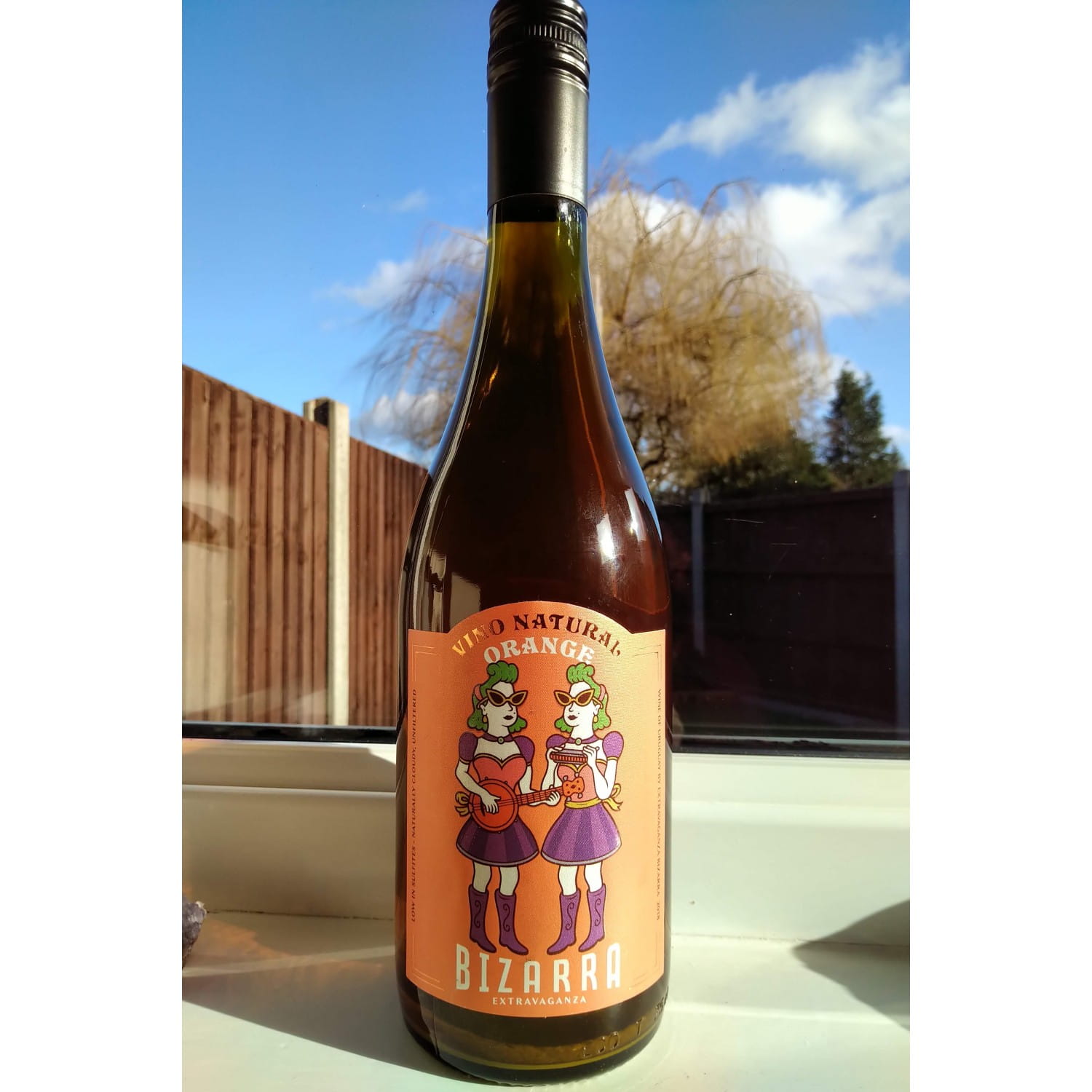 Orange Wine Wines of Uruguay