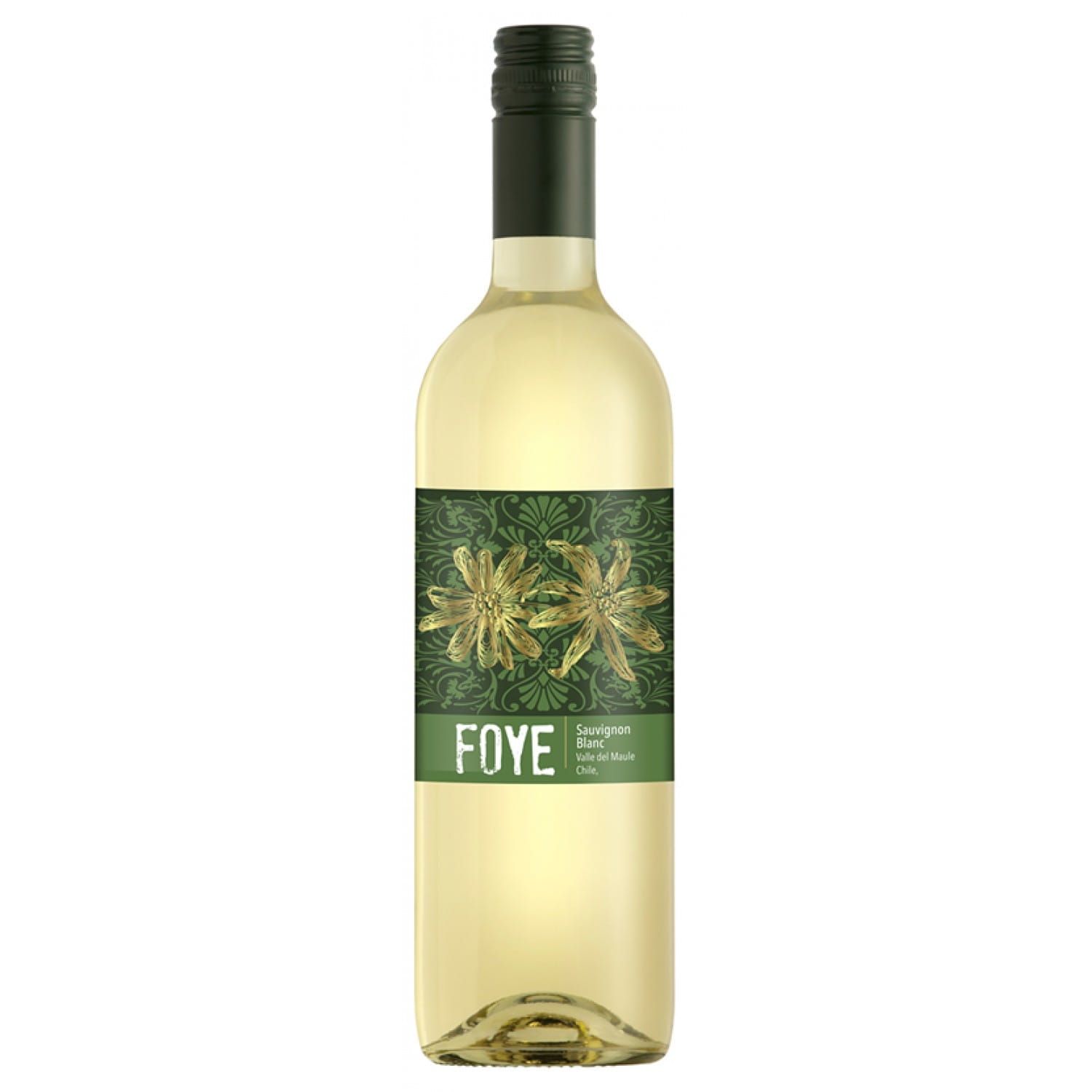 Guest Wines Chile Wines of Uruguay