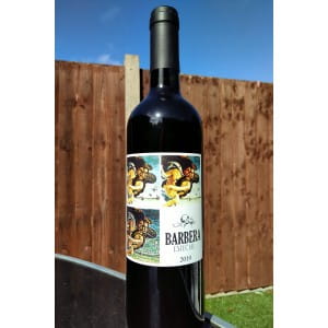 Viñedo de los Vientos Barbera Especial 2019