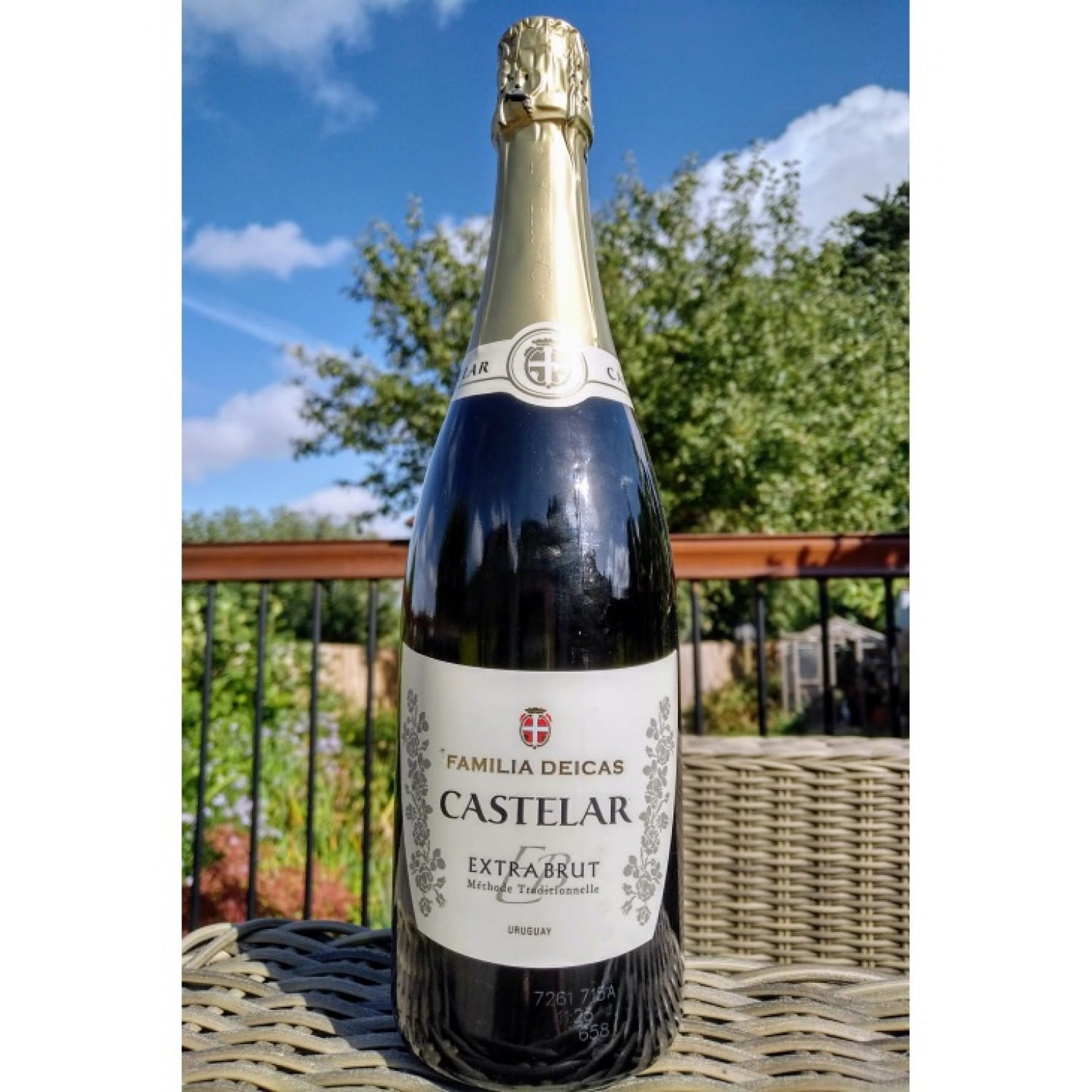 Sparkling Wine Wines of Uruguay