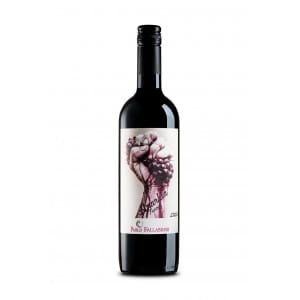 Bodega Pablo Fallabrino Anarkia Tannat 2021