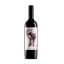 Bodega Pablo Fallabrino Anarkia Tannat 2021