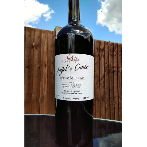 Viñedo de los Vientos Ripasso de Tannat 2008 MAGNUM