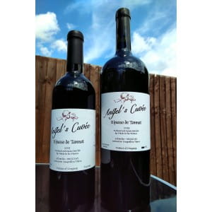 Viñedo de los Vientos Ripasso de Tannat 2008 MAGNUM