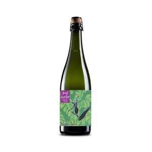 Bodega Pablo Fallabrino Soul Surfer Nebbiolo Pet Nat 2023