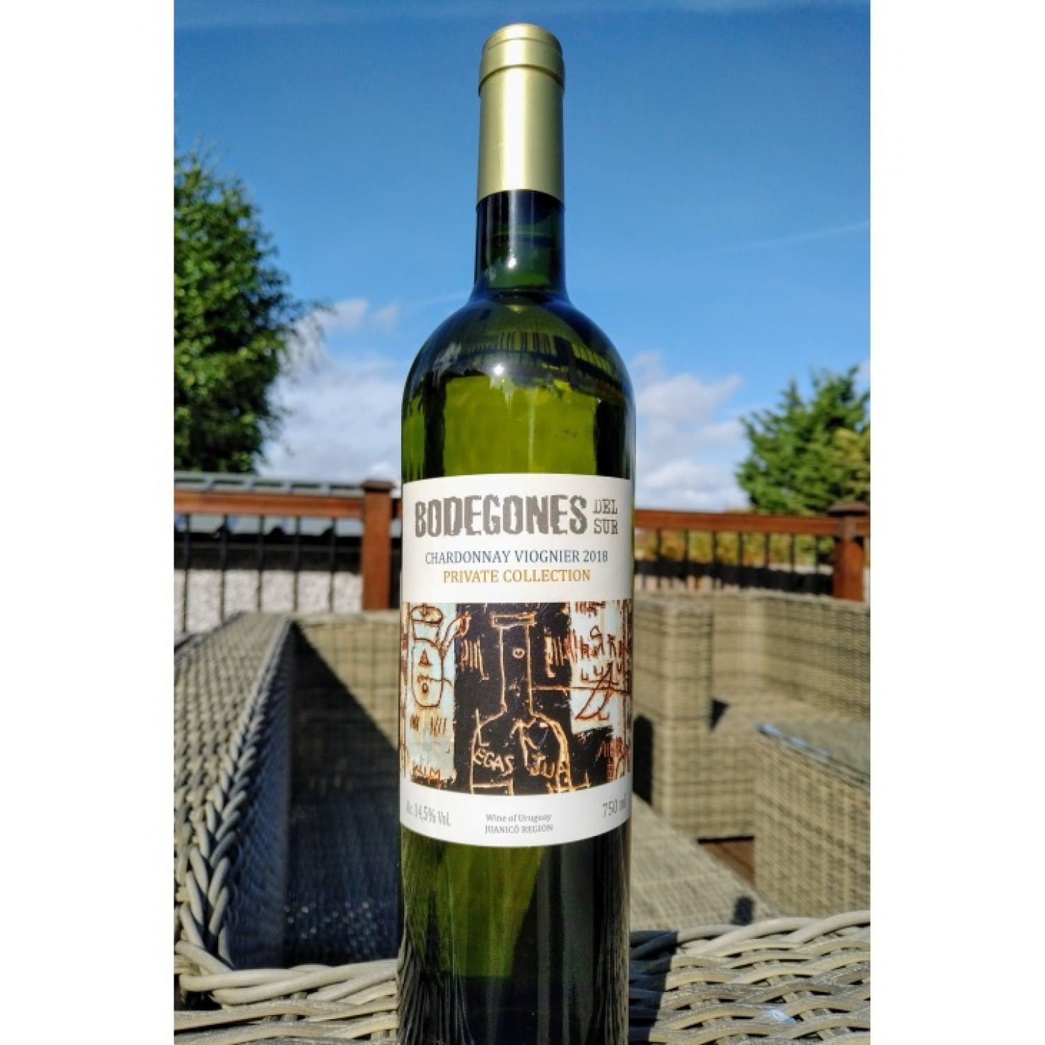 White Wine Wines of Uruguay