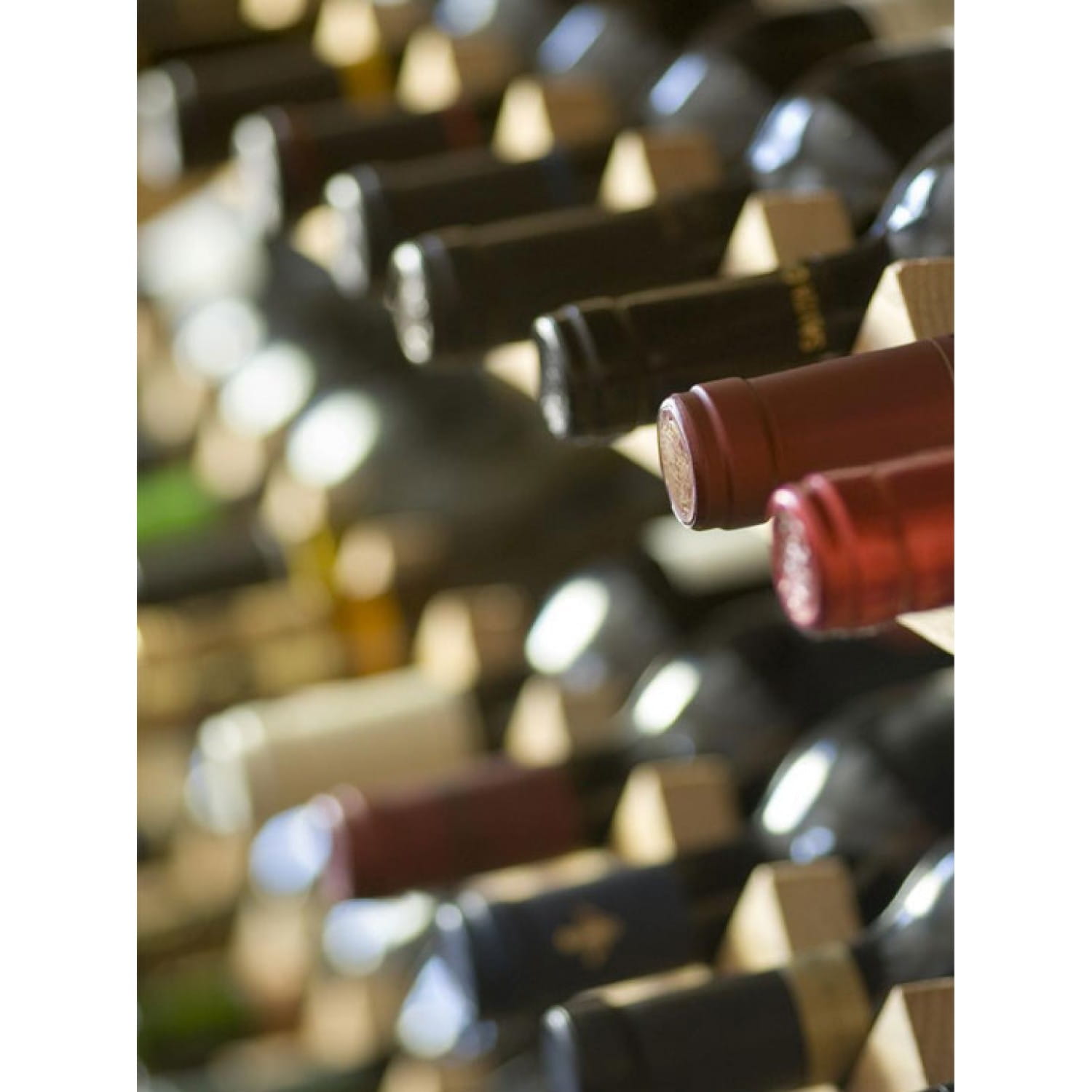 Mixed Cases Wines of Uruguay