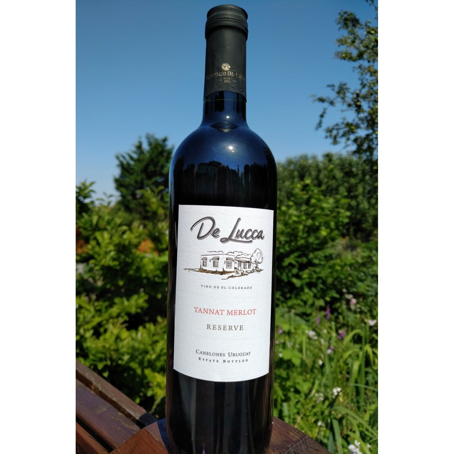 Red wine Wines of Uruguay