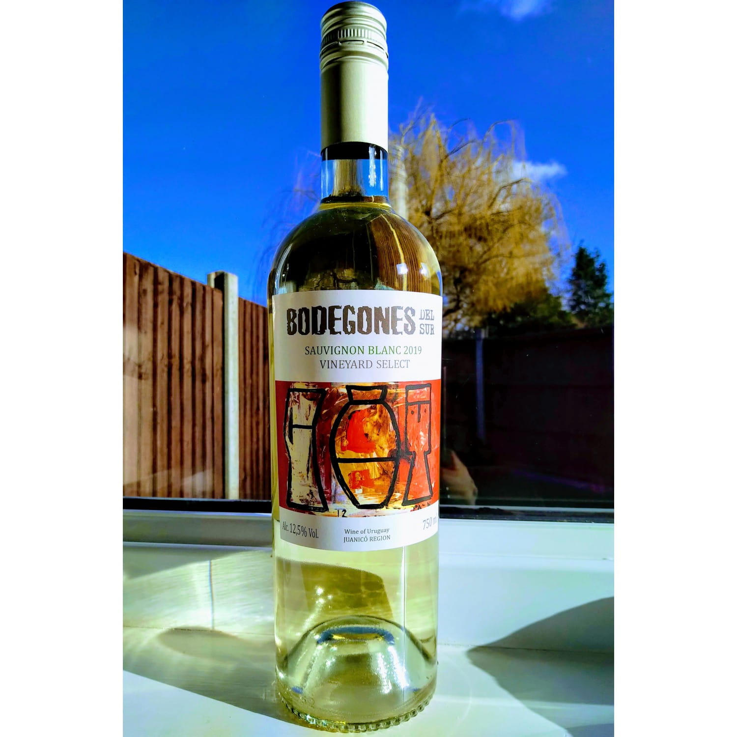 Shop online Wines of Uruguay