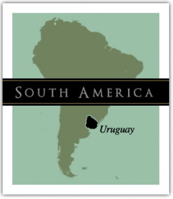 South American map