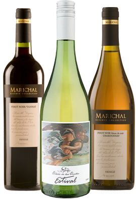 wine merchants uk